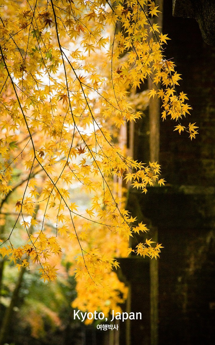 autumn