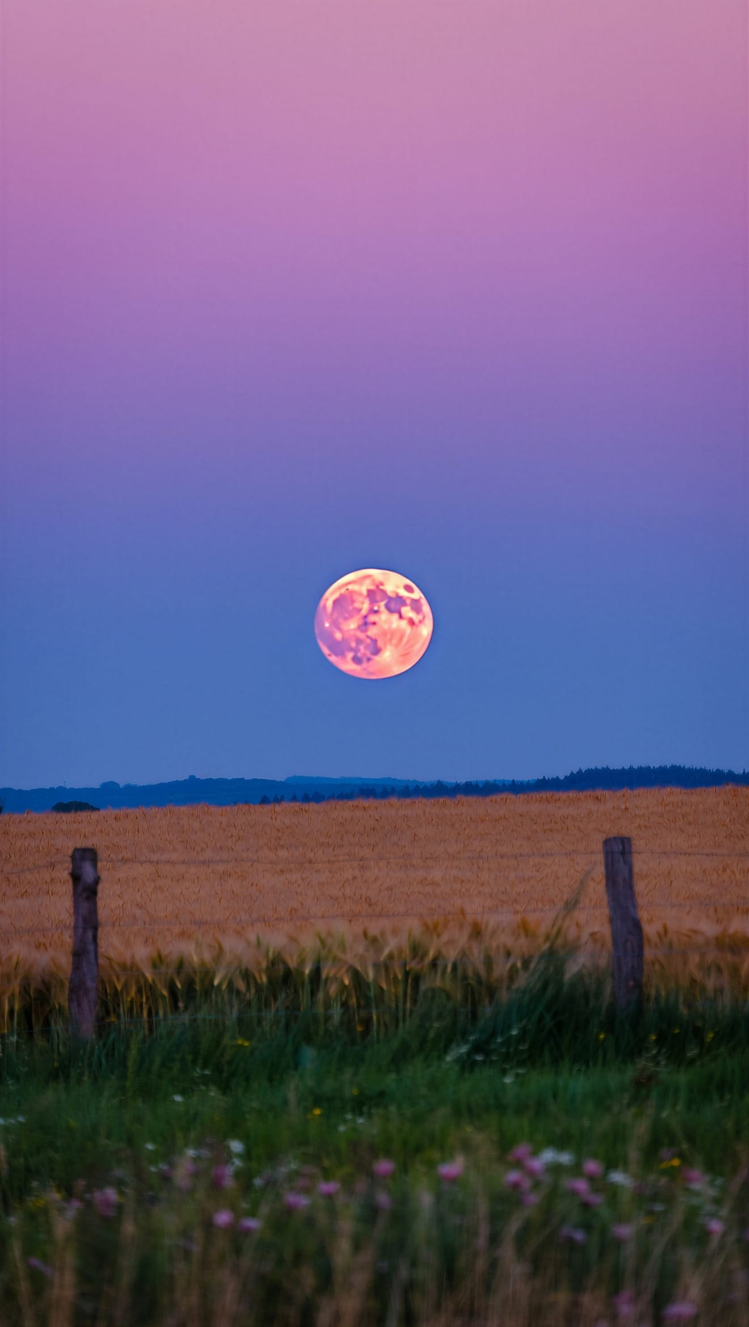 moon, horizon duvar kağıtları