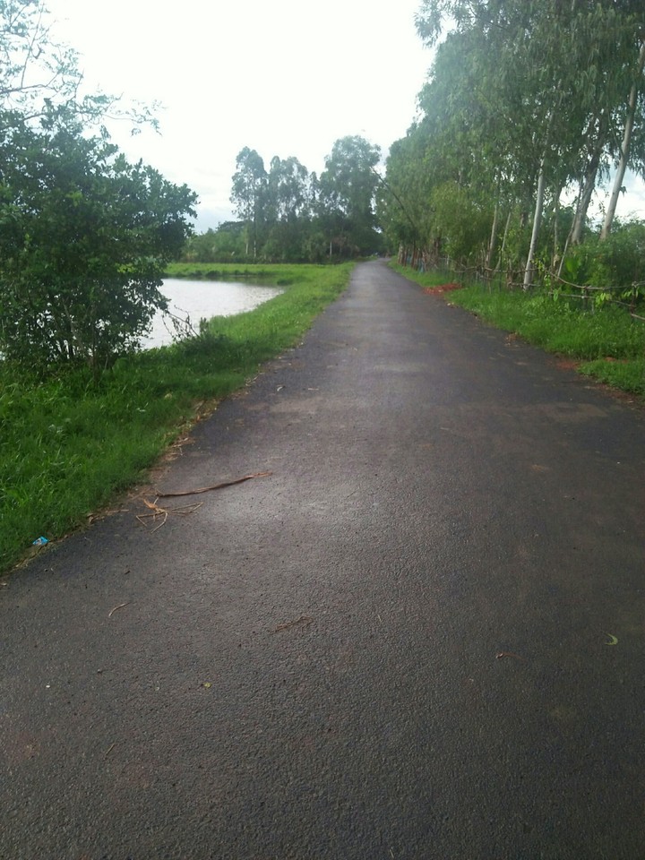 Nature