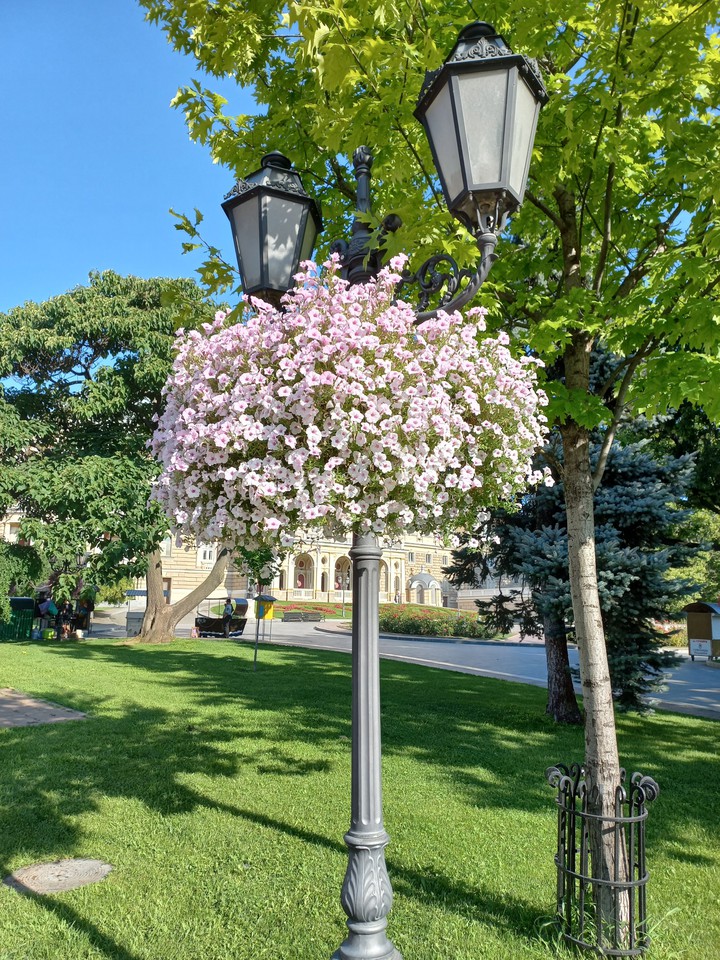 Odessa