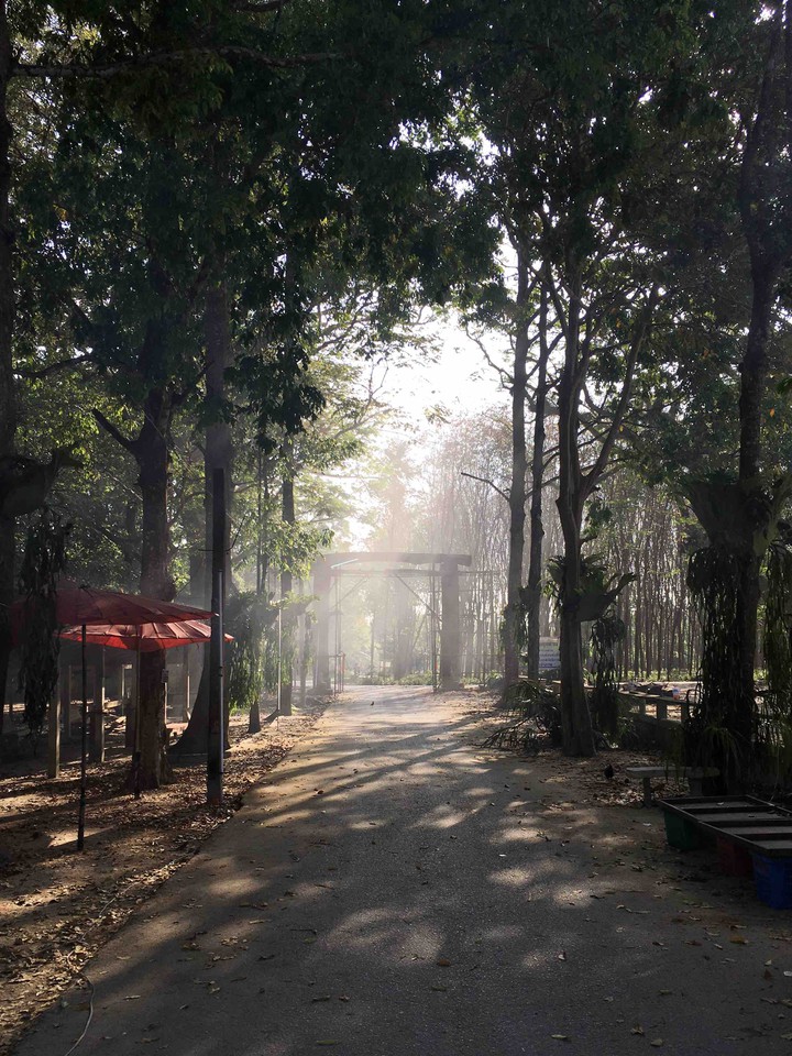 in the morning