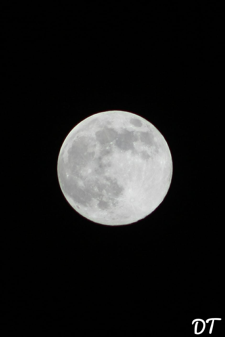 Mond