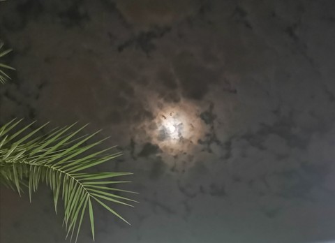 moon