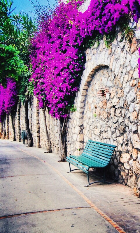 Bench