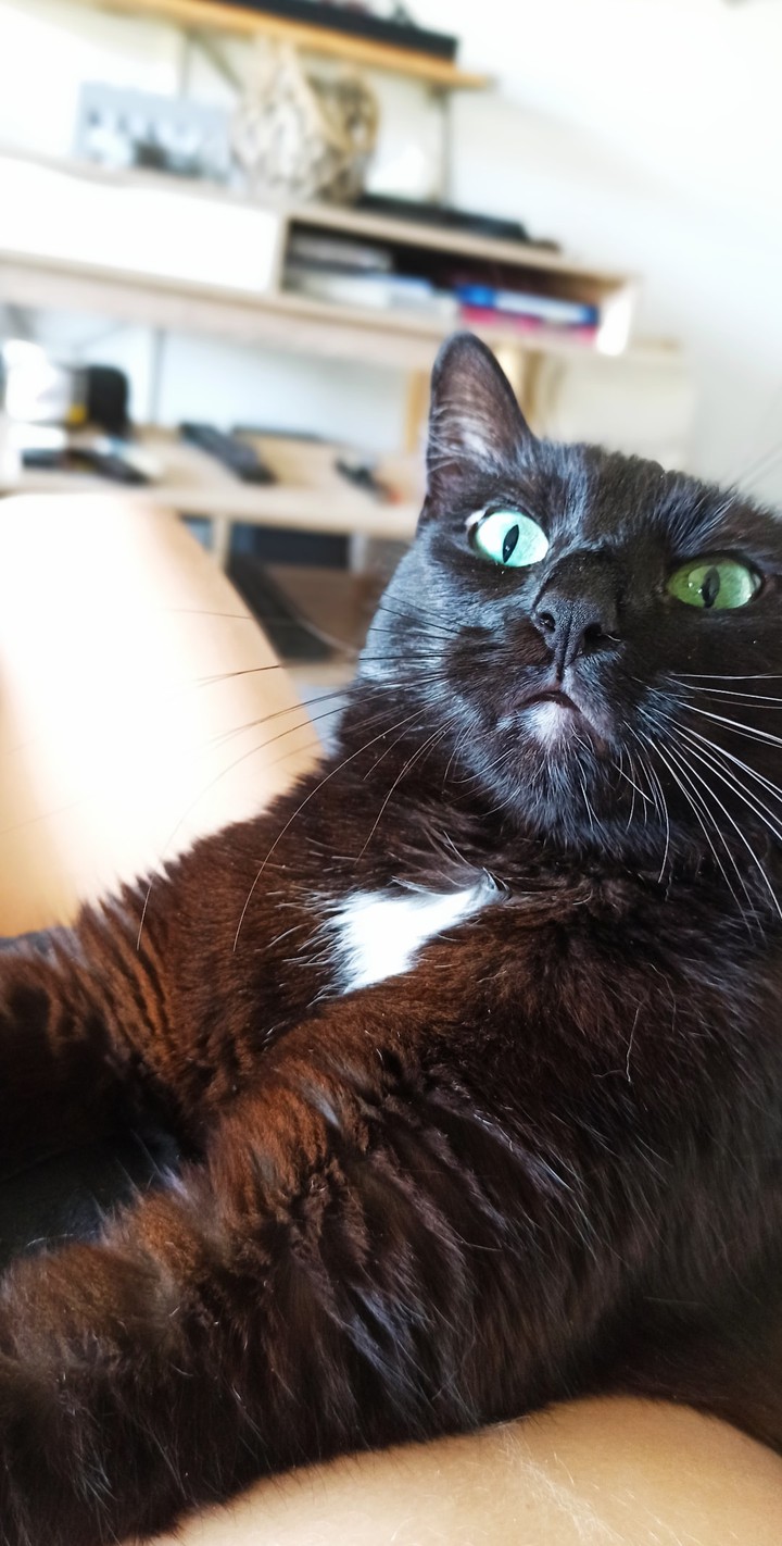 Mais quelle est donc cette expression
