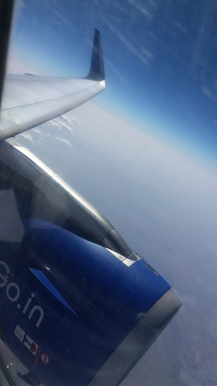 indigo