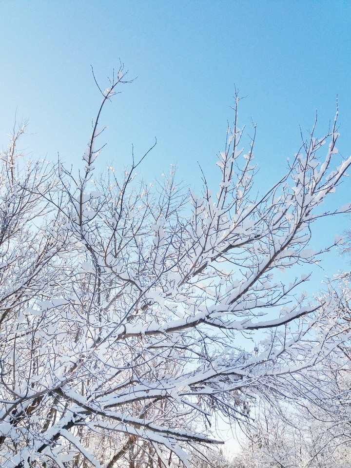 Winter fairytale