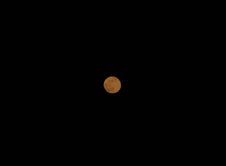 yellow moon