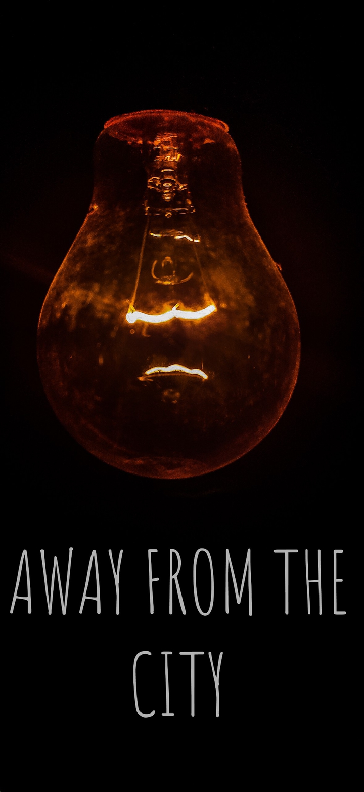 bulb