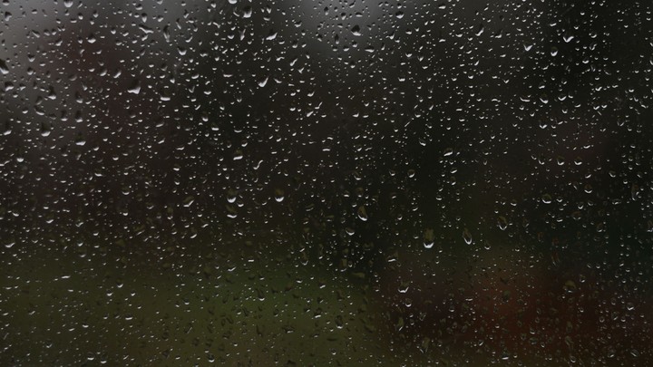Rain