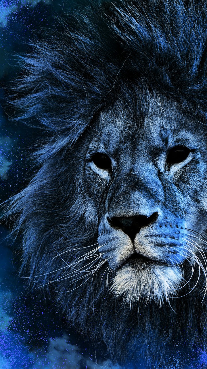 blue lion