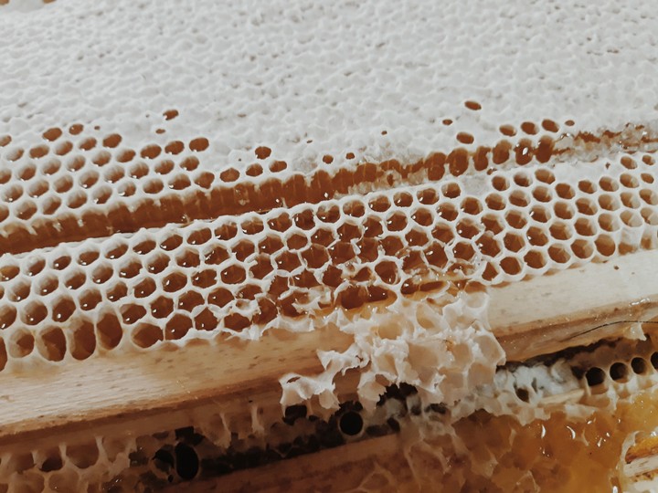 honey