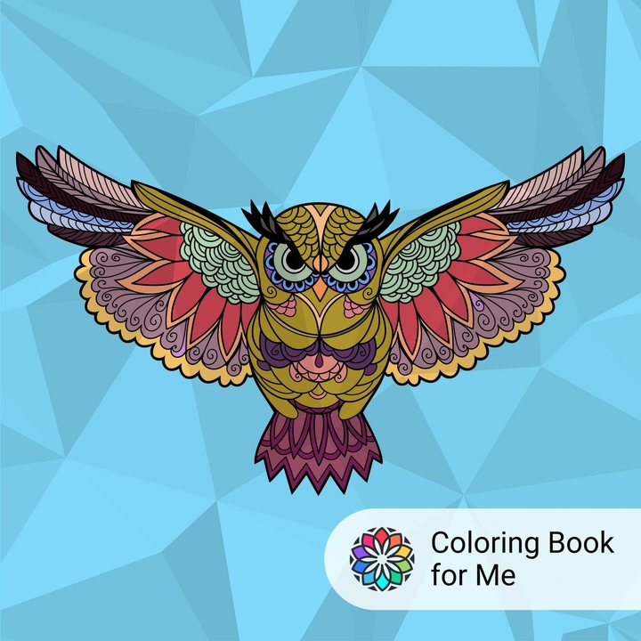 #OWL 