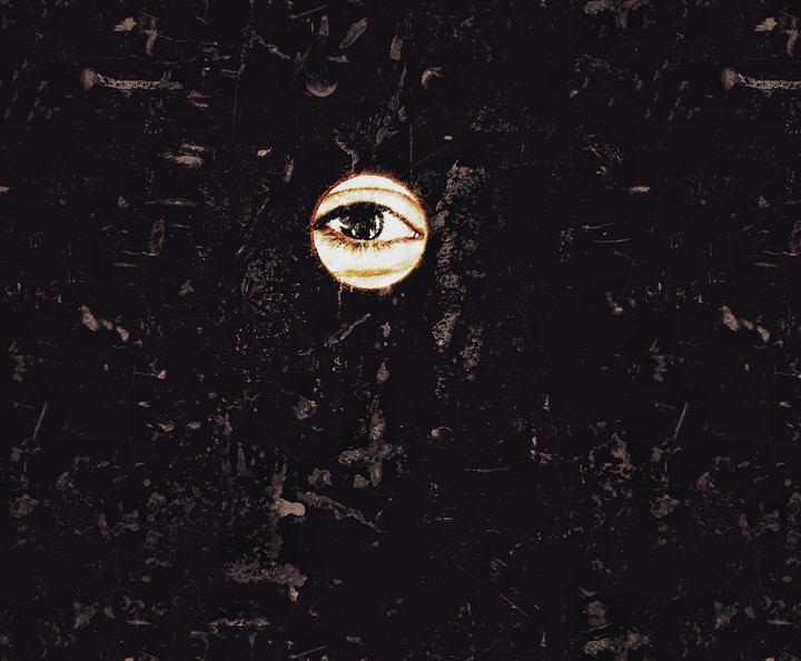 Abstract eye