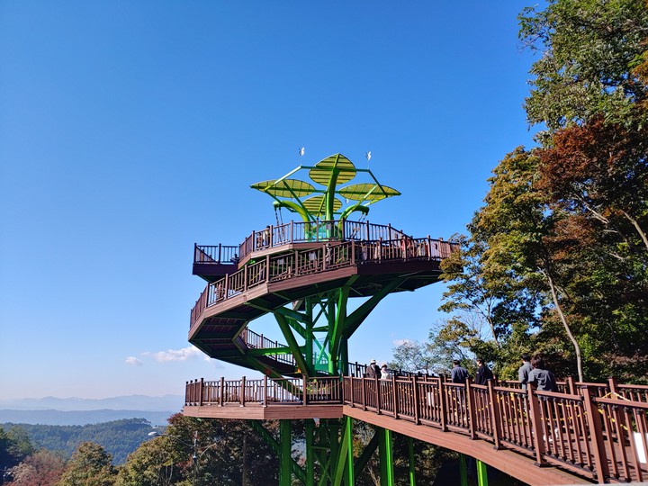 전망대