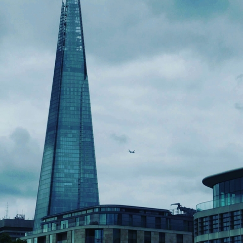The shard