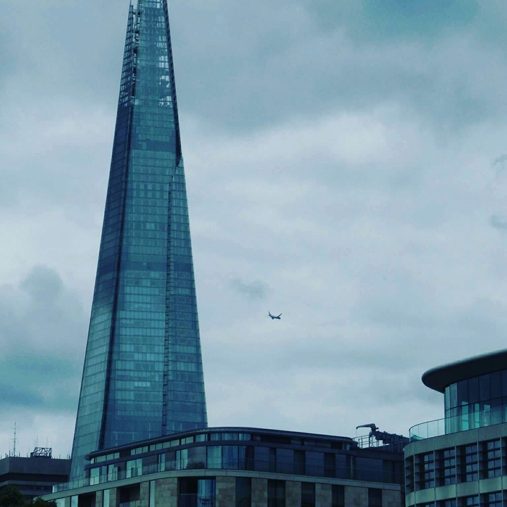 The shard