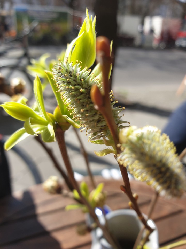 Frühling