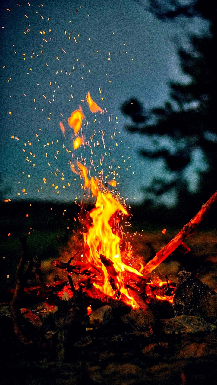Bonfire
