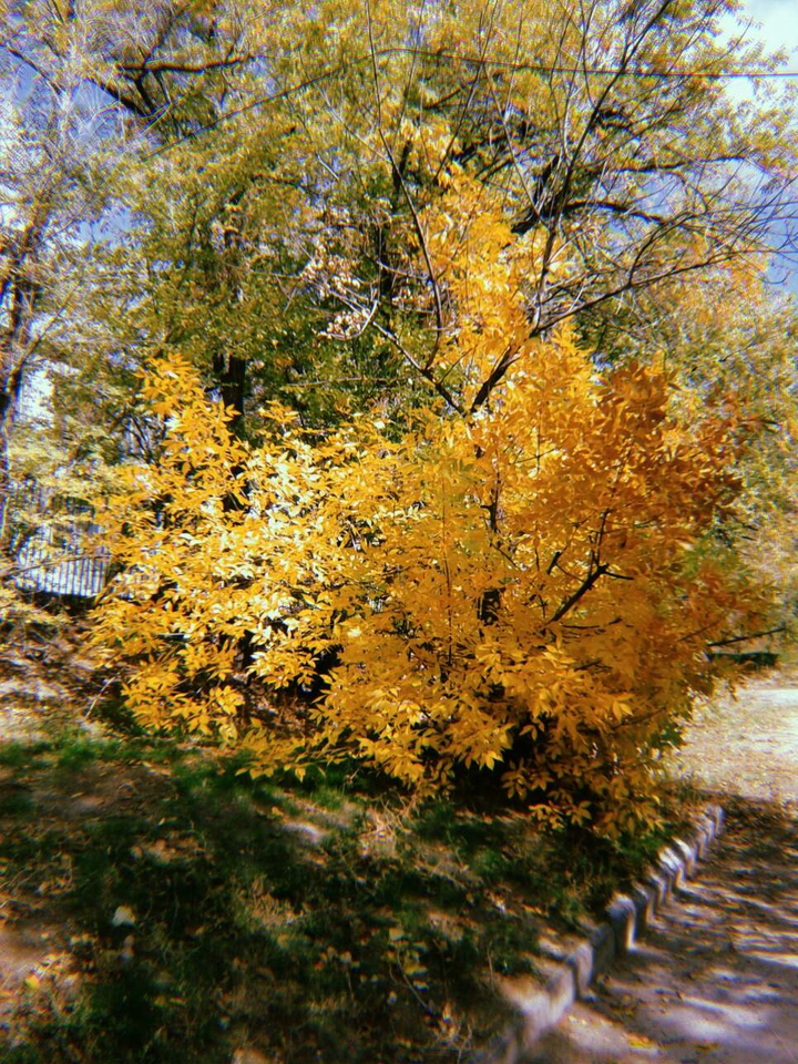 осень
