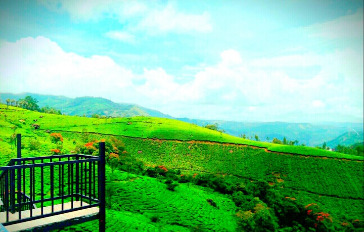 munnar india