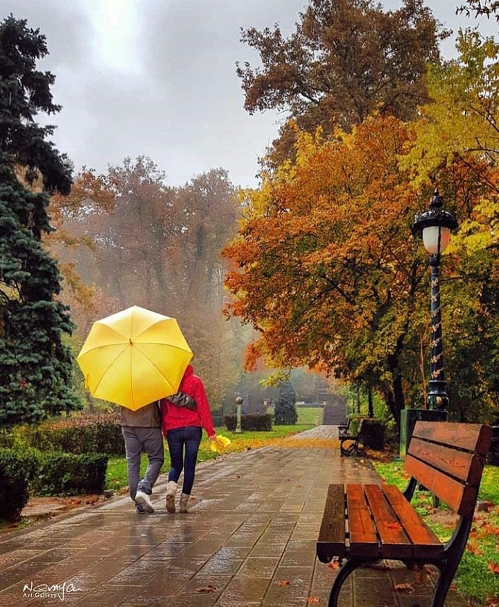 autumn