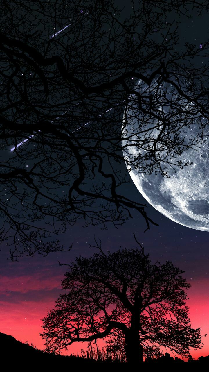 night