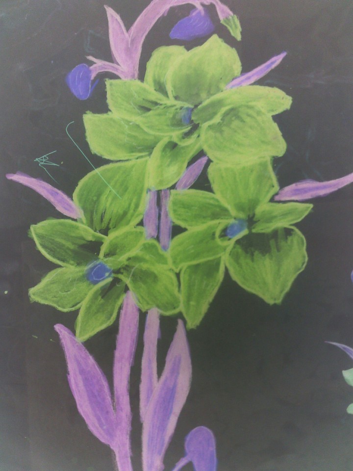 flowers