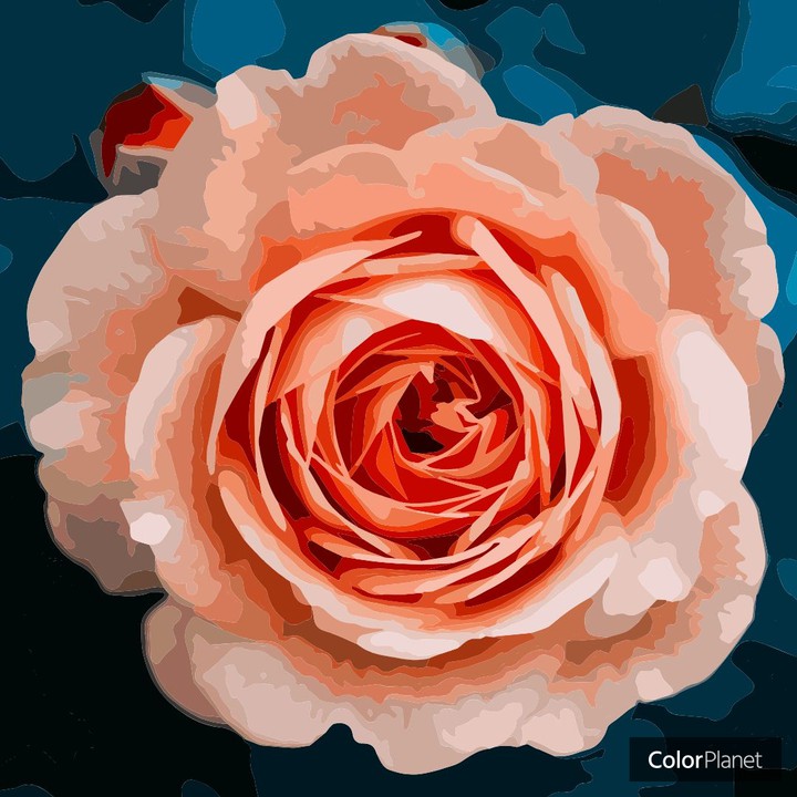 Oil Painting Art