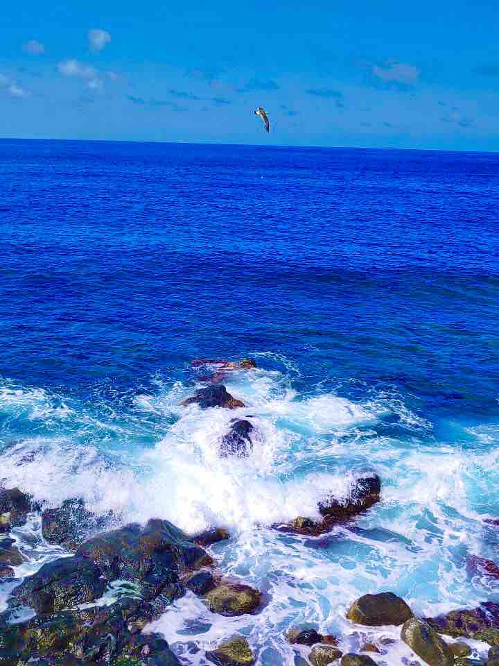 sea