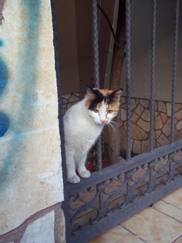 Balkondan Bakıyoruz