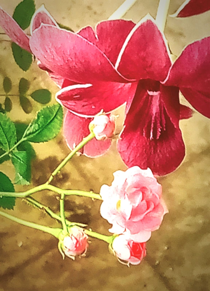 Flowers