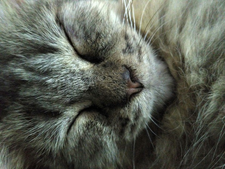 Zzzzz
