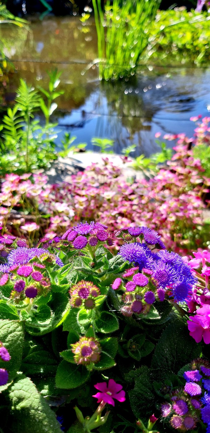 Farben ???