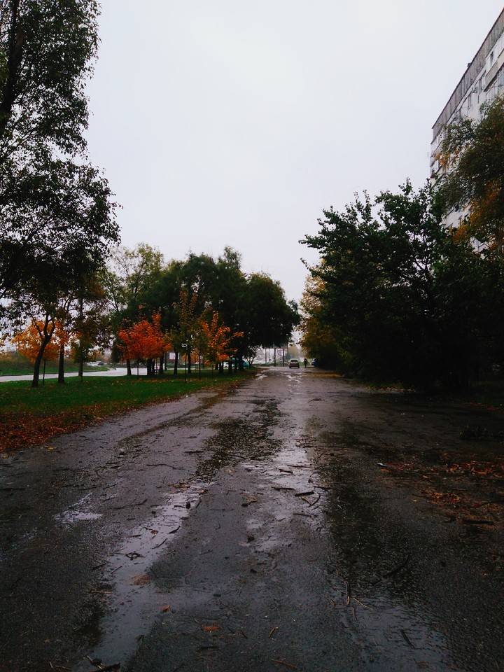 Осень