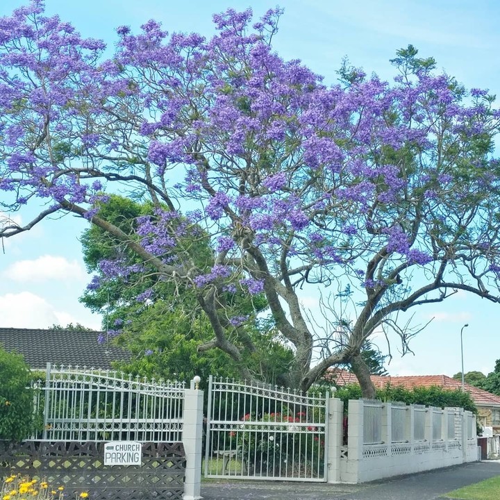 Papatoetoe