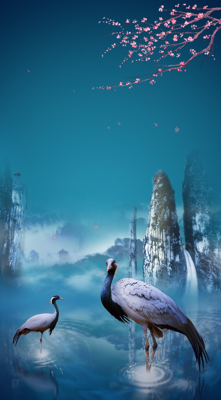 Wallpaper