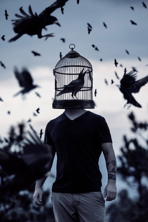 My Mind