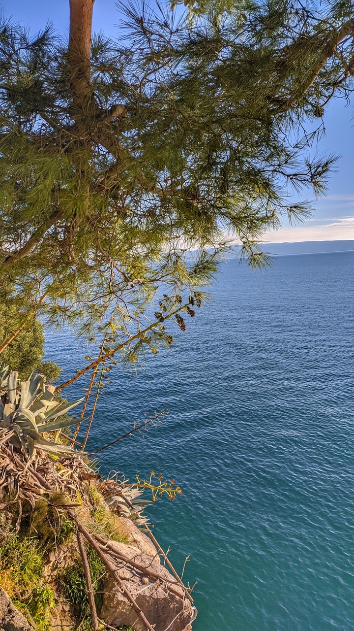 Sunny sea