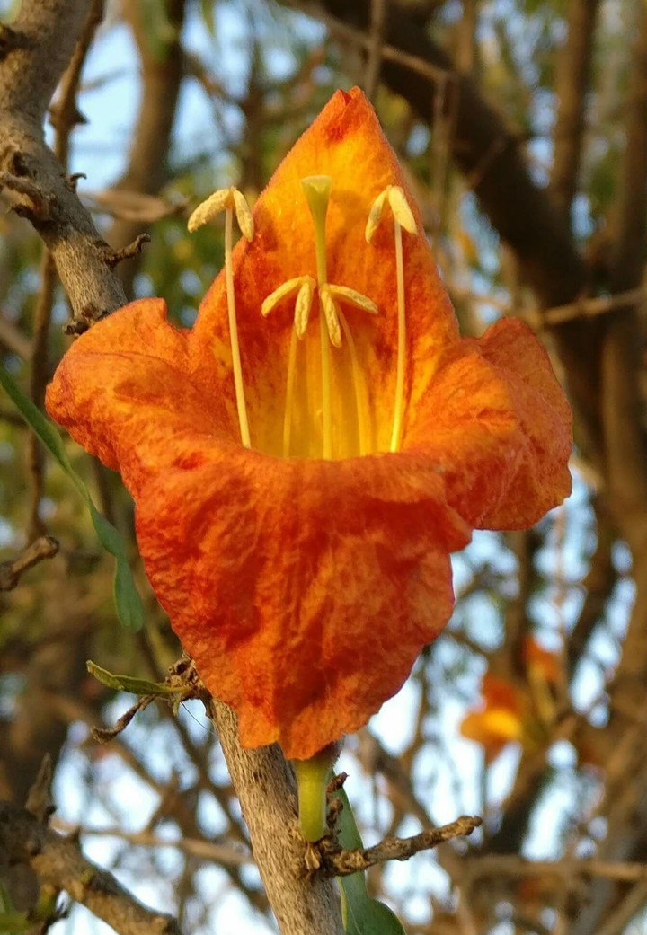 Ragatrohido