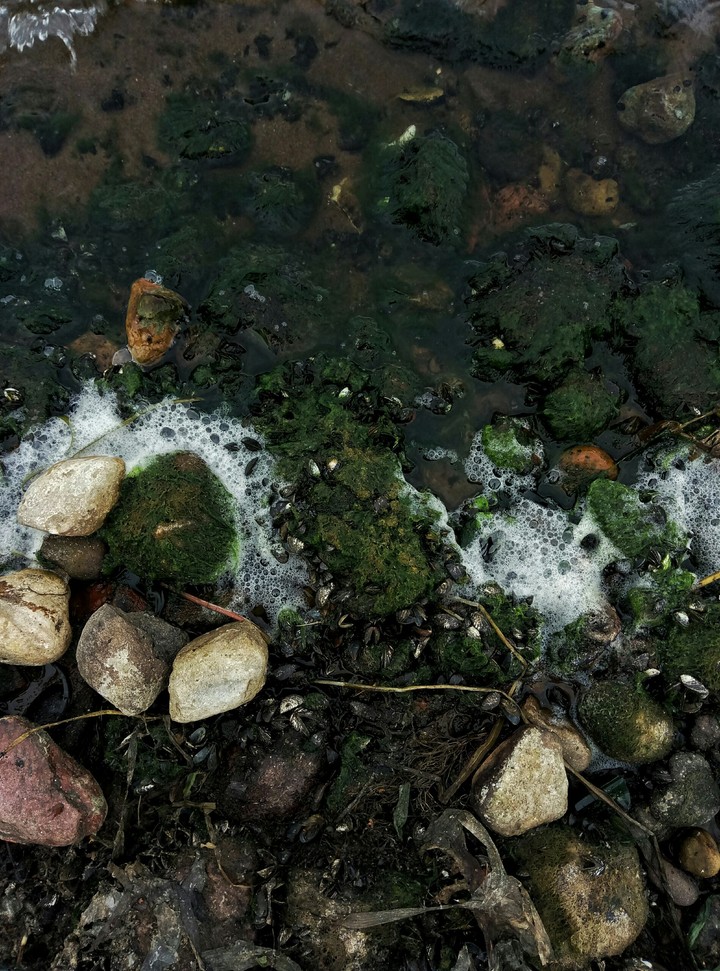 lake foam