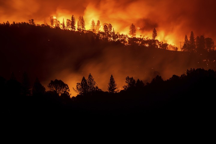 fire