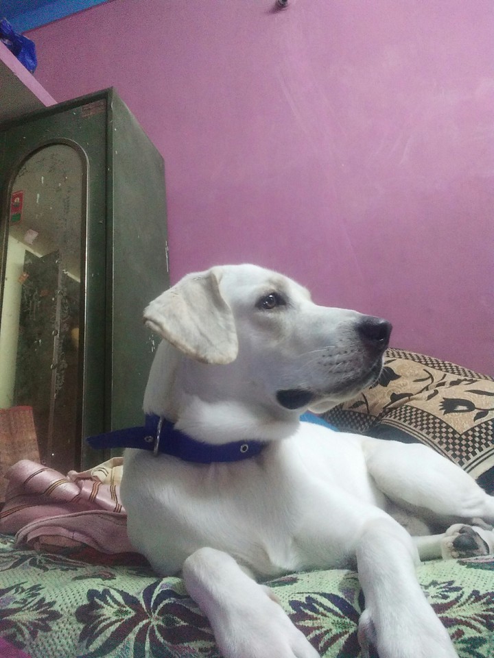 my sweet heart