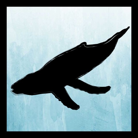 whale