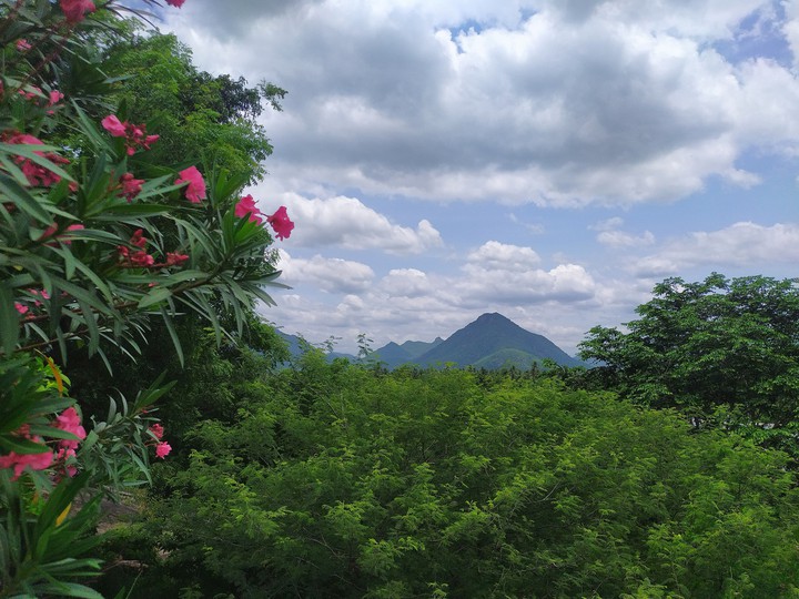 mountains