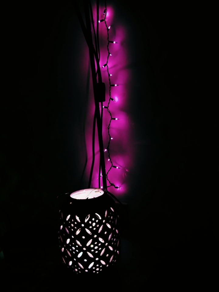 Purple Lights