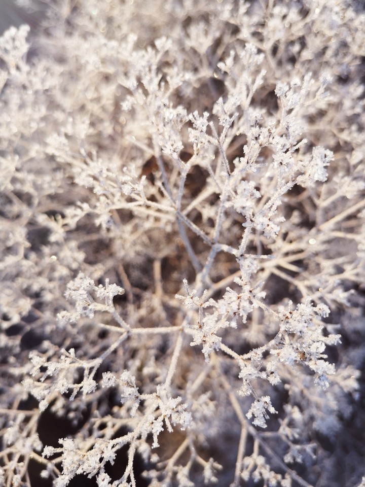 winter, cold, crystal