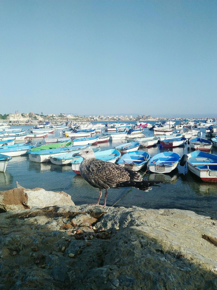 #plage #mer