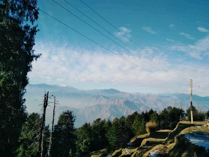 nature beauty