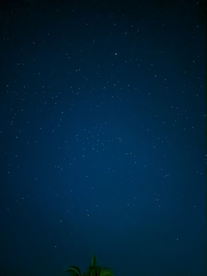 stars